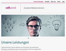 Tablet Screenshot of callyandi.com